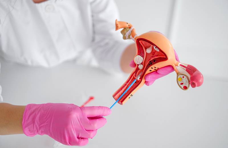 medithics-gynecology-about